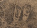 606