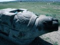 Karakorum_turtle