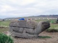 stone-turtle