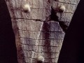 2200 BC, Akita pref.