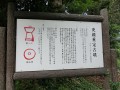 shigesada-3