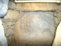 kusumyou4