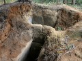 93