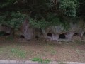 Эзо Ана И?окоана