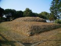 29076