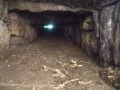83675836