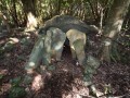 Дольмен Kasedo? Kofun