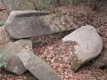 54354566