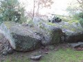 22200445