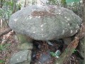 65725475