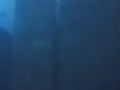 956795768