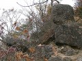 Tenguiwa