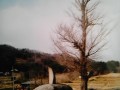 whale rock