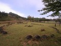 Kamaishi megalithic site (??) — Stone Circle in Kashiwadai ?&, Hachimantai (Iwate), Honshu?