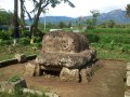 Situs-Pekauman-2