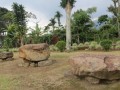 batu-berak (1)