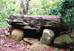 Dolmen dan menhir dari situs Muara Pinang