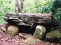 Dolmen dan menhir dari situs Muara Pinang, Empat Lawang
