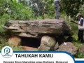 tahukah_kamu