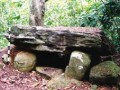 Dolmen dan menhir dari situs Muara Pinang