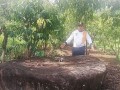 SEKEN-TEMUKAN