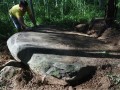 Дольмен Арджаса, раи?он Арджаса, Джембер, Восточная Ява-batu-megalit