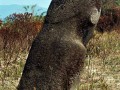 Tinoe_(6)