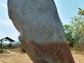 Palindu_(5)