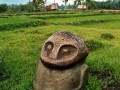 monkey type figure is in Hamboa