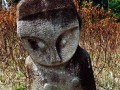 Tinoe_(1)