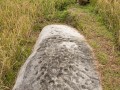 09 Dakon monolith with cup and line marks, with archaeologist Iksam Djorimi, near Lengkeka village, Bada Valley