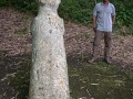Pekasele statue with archaeologist Iksam Djorimi, near Tamadue village, Napu Valley