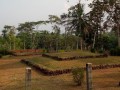 50-8645