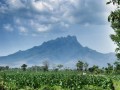 gunung-ringgit