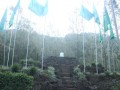 mangkutoromo