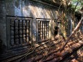 IMG_032097
