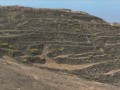 China-Shimao-Step-Pyramid