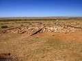 Могильник Каражартас