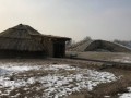 309-033