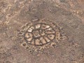 AzraqOasisWheels8