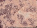 8908-080