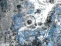 44504-40561