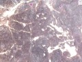57567065