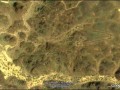5643-5304