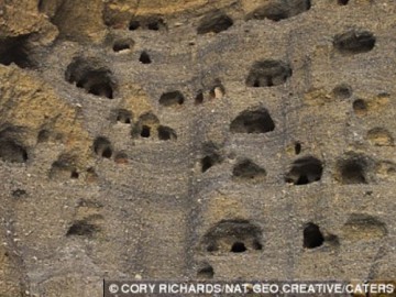 Скальные пещеры Мустанг