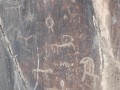 345345-43503