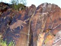 tamgaly-petroglyphs-southeast-kazakhstan-5