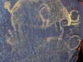 96967-8706