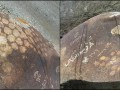 87687-870990