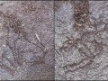 465546-456540